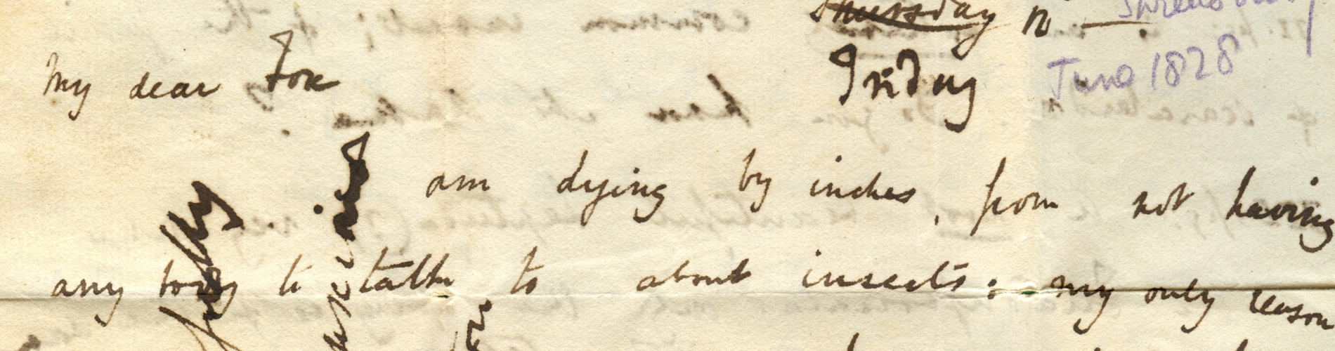 Extract from a letter by Charles Darwin