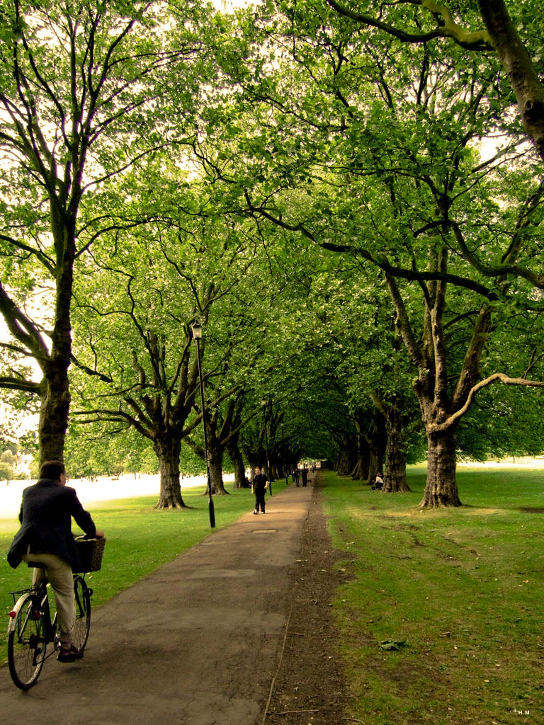 Cyclist on Jesus Green Avenue