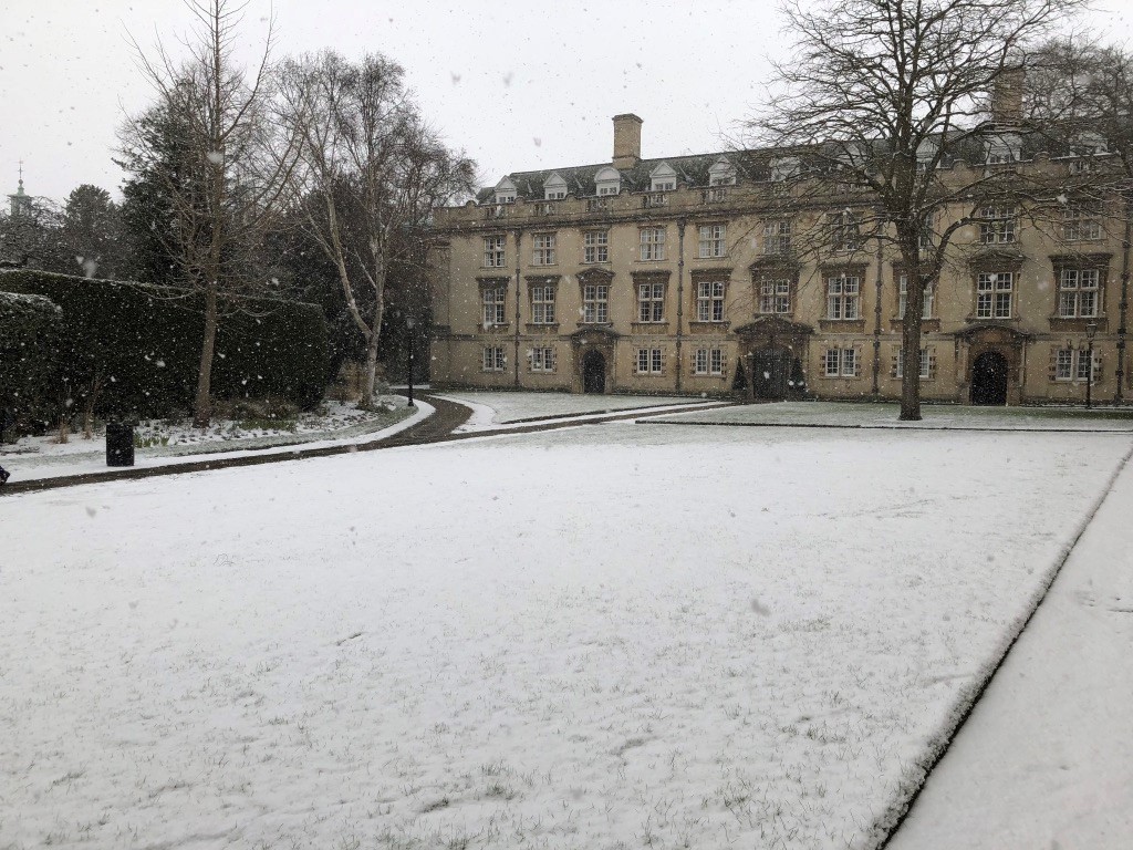 Second Court Snow