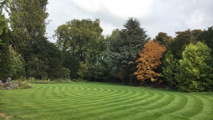 Front of the Fellows garden