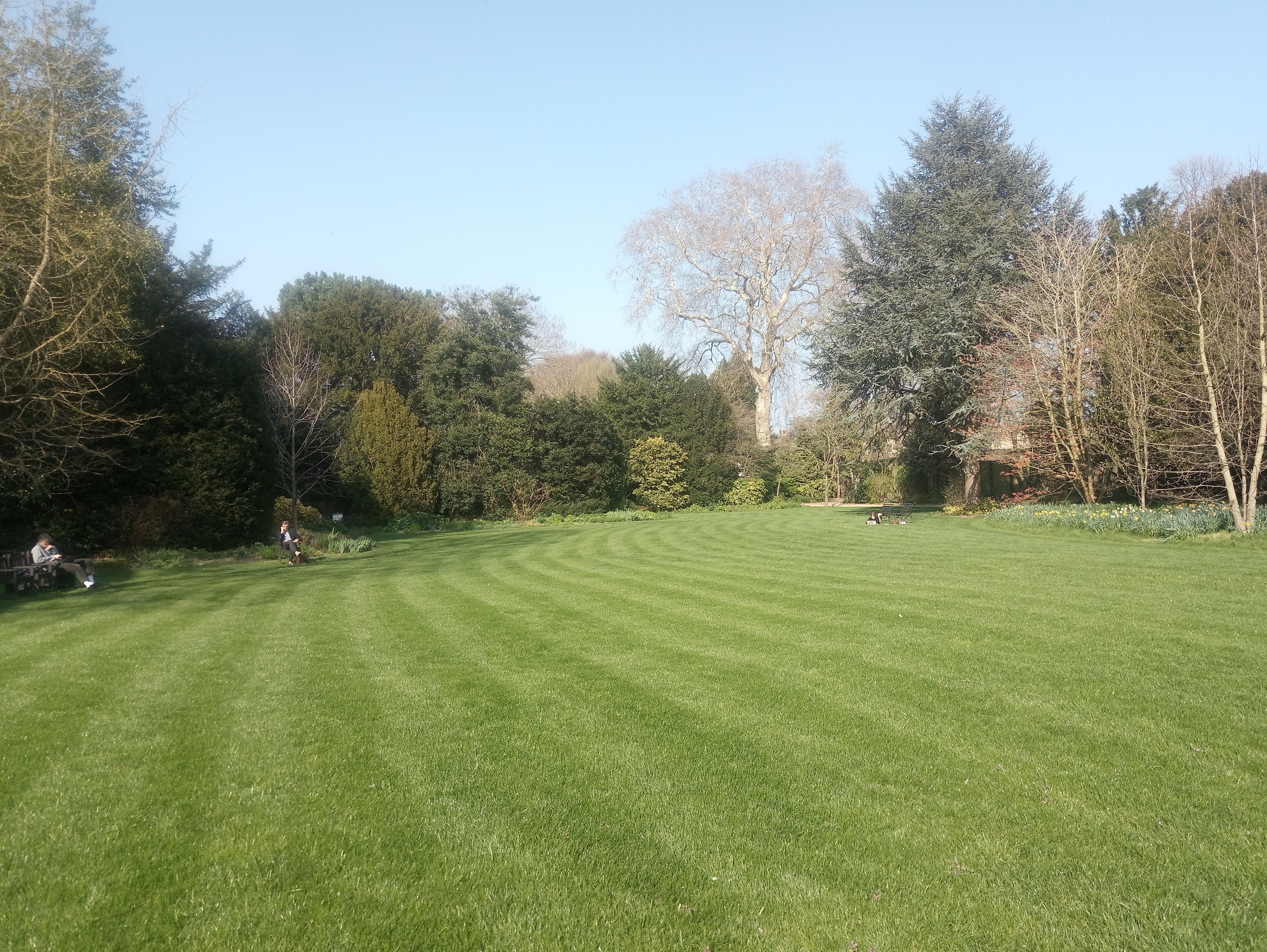 The Fellows Garden at Christ's College, Cambridge