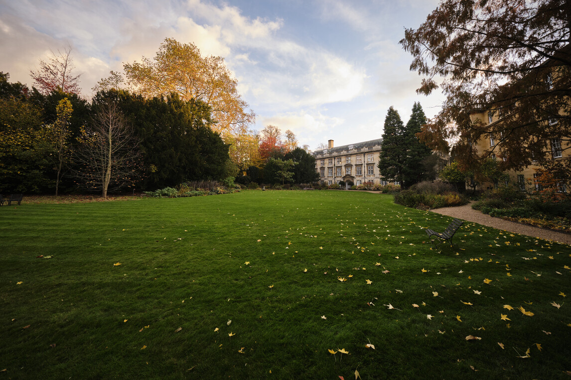 The Fellows Garden