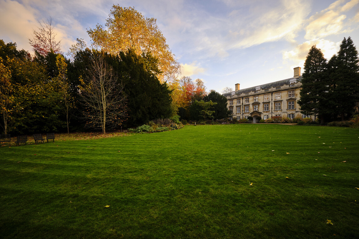 The Fellows' Garden, Christ's College, Cambridge