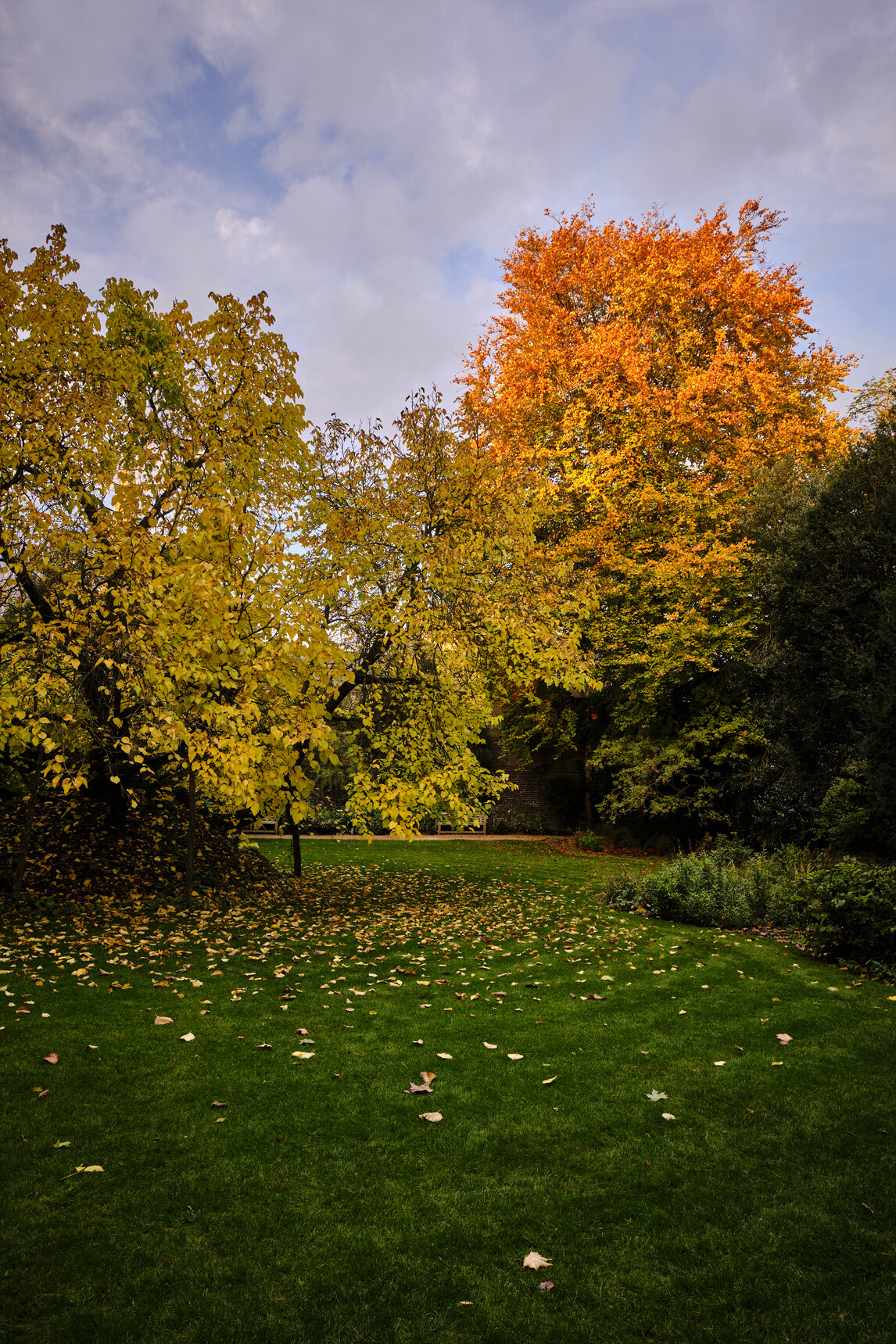 Christ's Fellows Garden