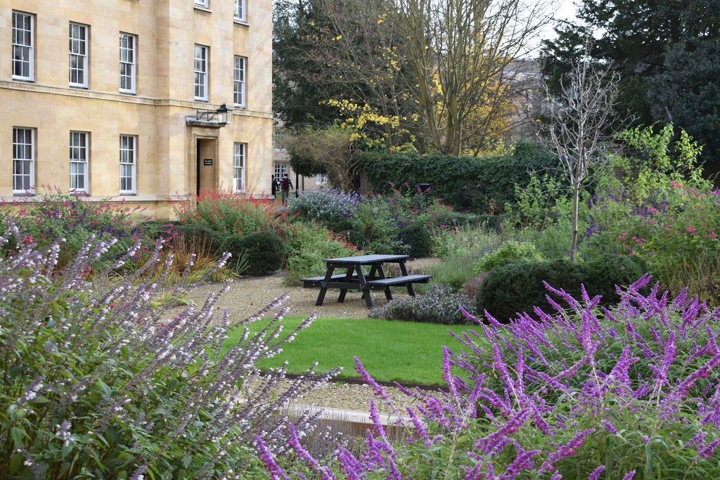 Third Court with picnic tables