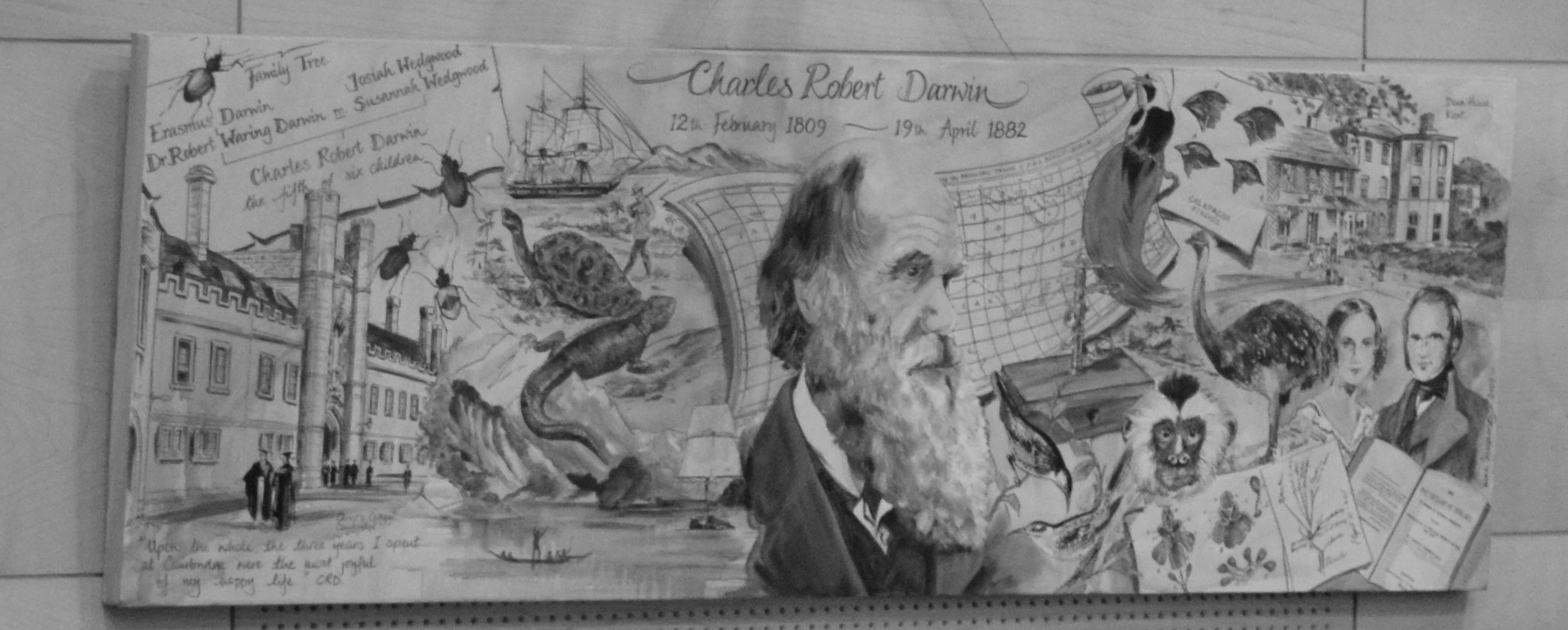 Darwin mural