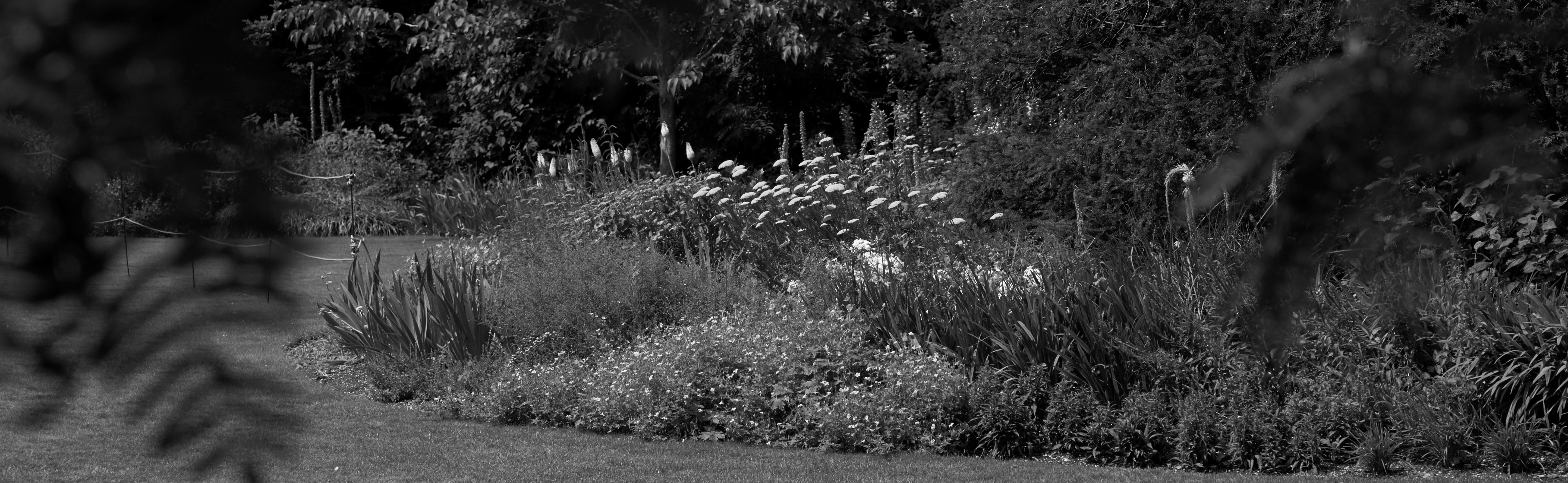 Flowerbed