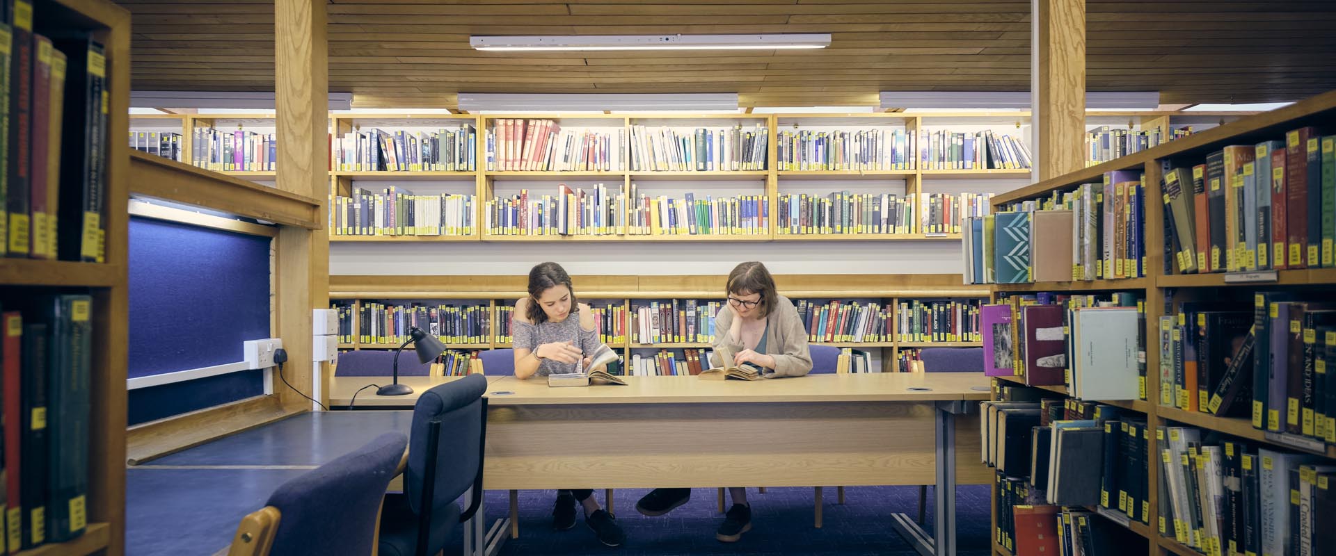 Two students studying in the Library