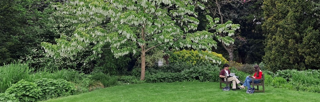 Revision in the Fellows' Garden