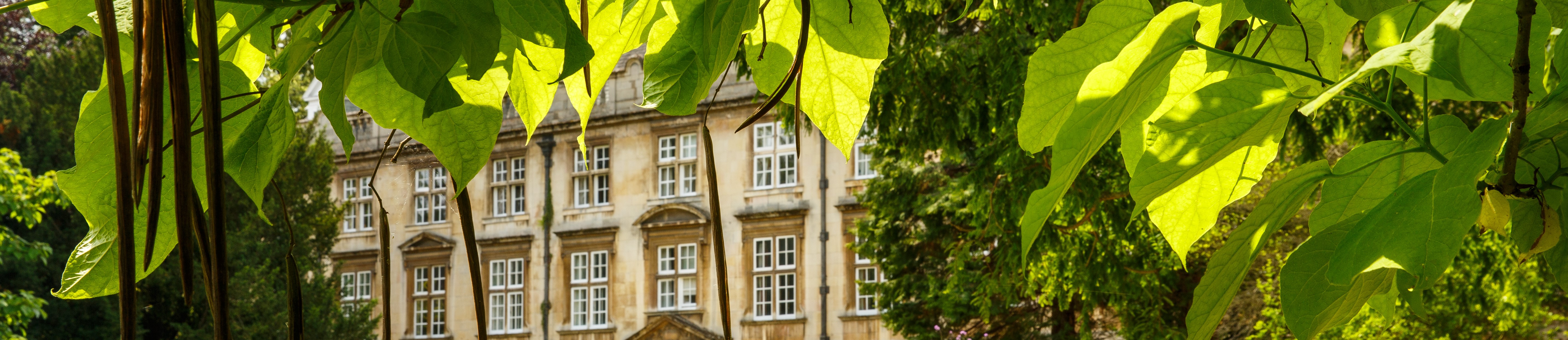 Fellows' Building and tree