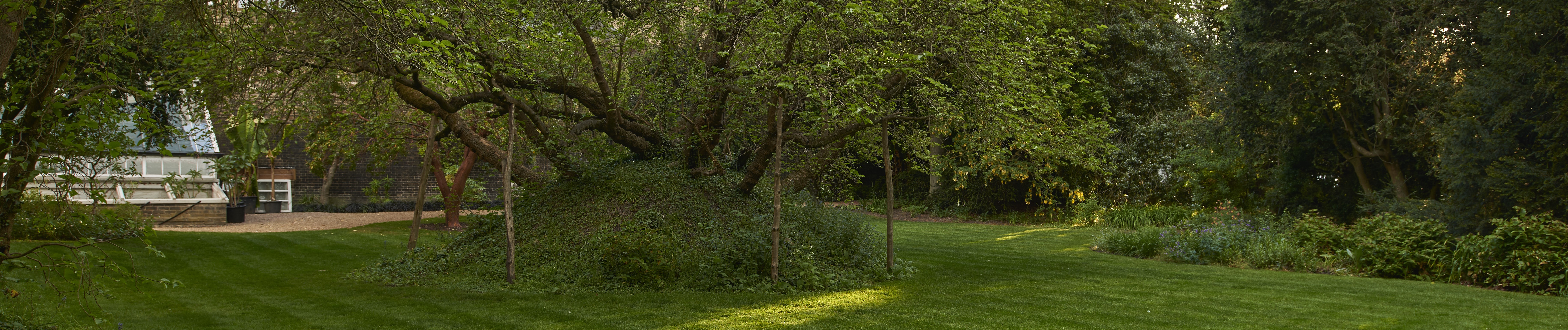 Milton's Mulberry Tree