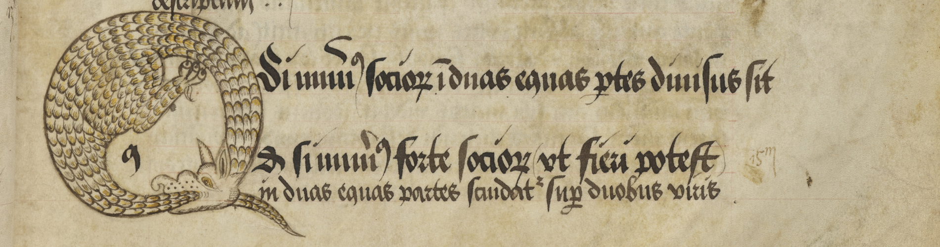 Medieval latin text with illuminated dragon initial
