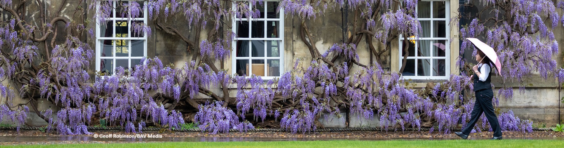 Lisa walking in front of the wisteria-covered Porters' Lodge
