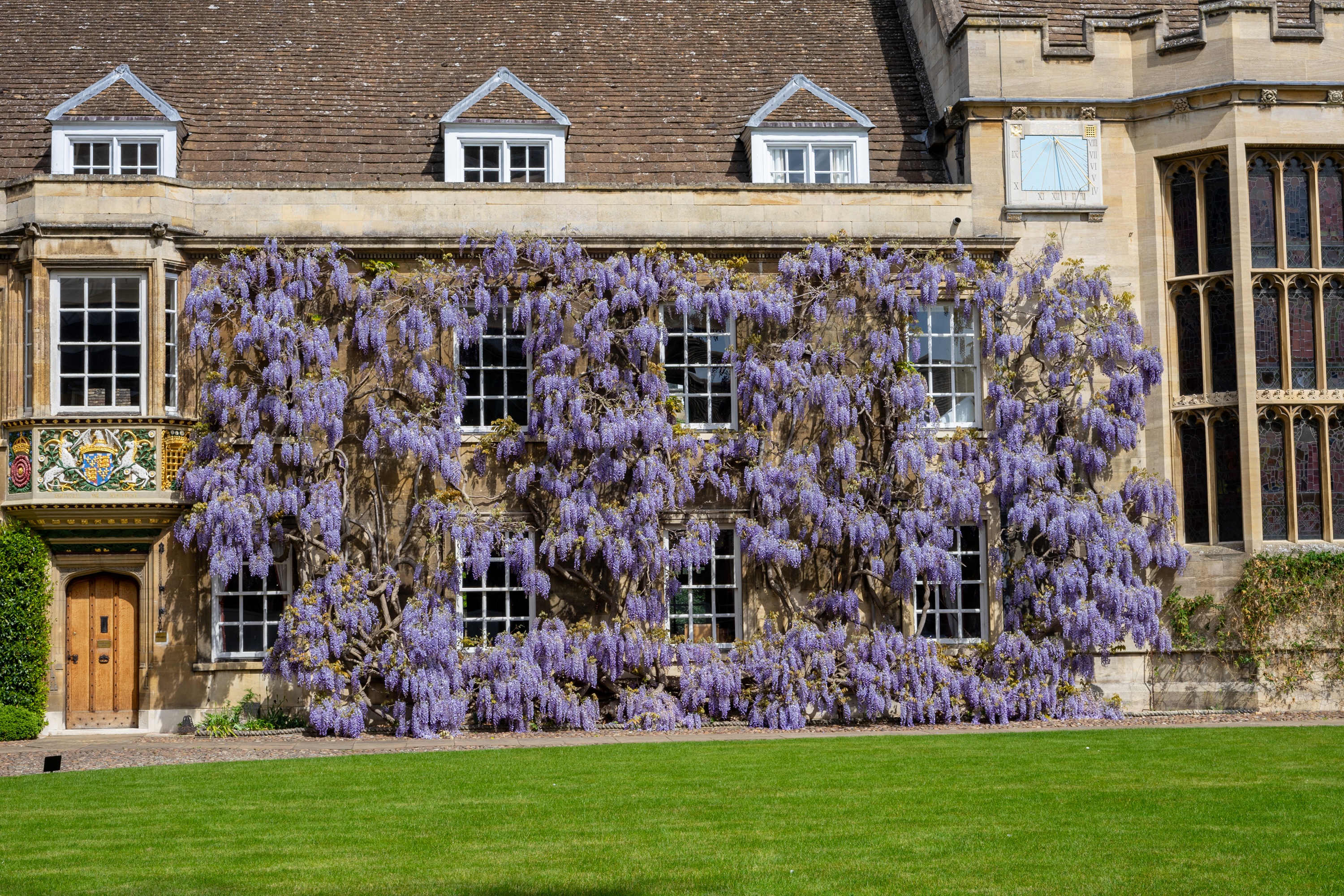Front Court by Paul Everest