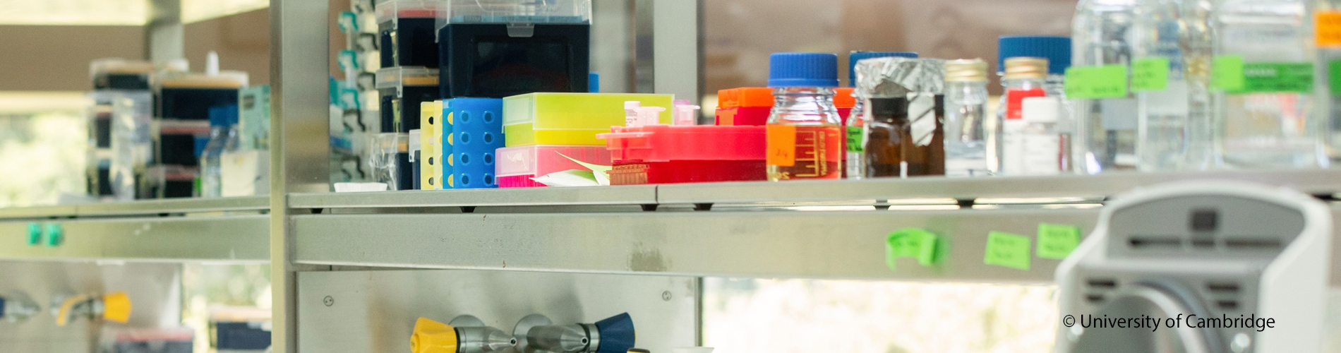 Shelf in a scientific laboratory
