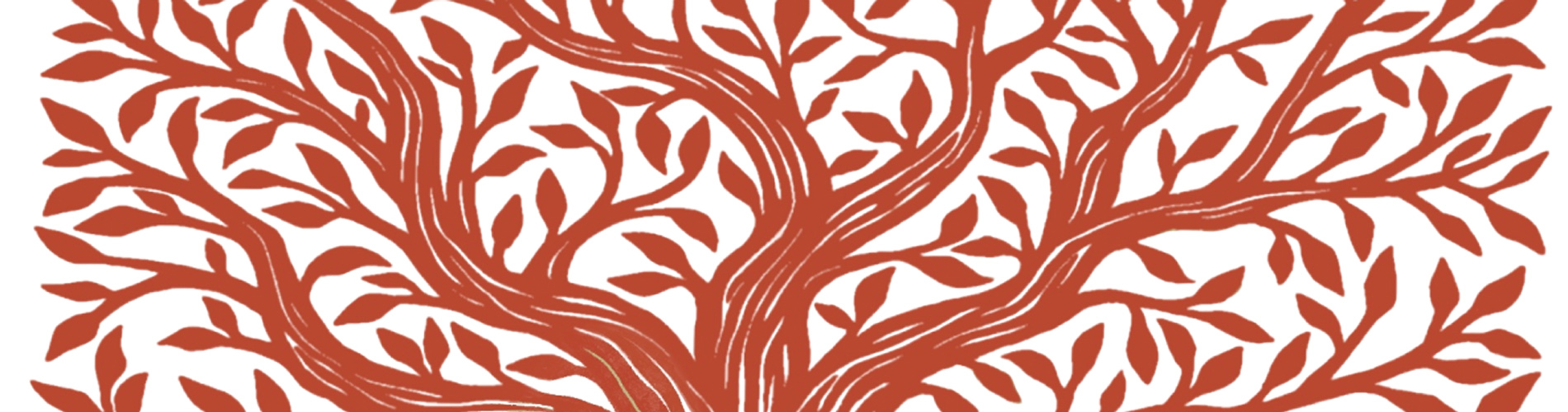 Drawing of upper branches of a tree in leaf