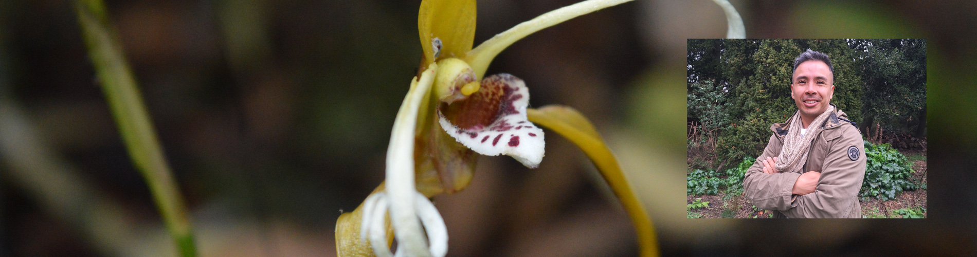 Headshot of Parra-Sanchez with orchid background