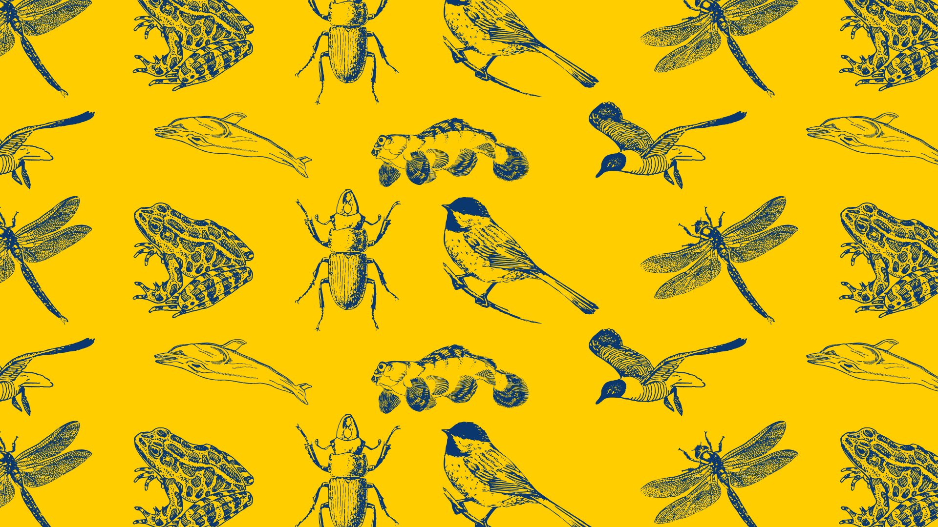 Banner of zoological specimens