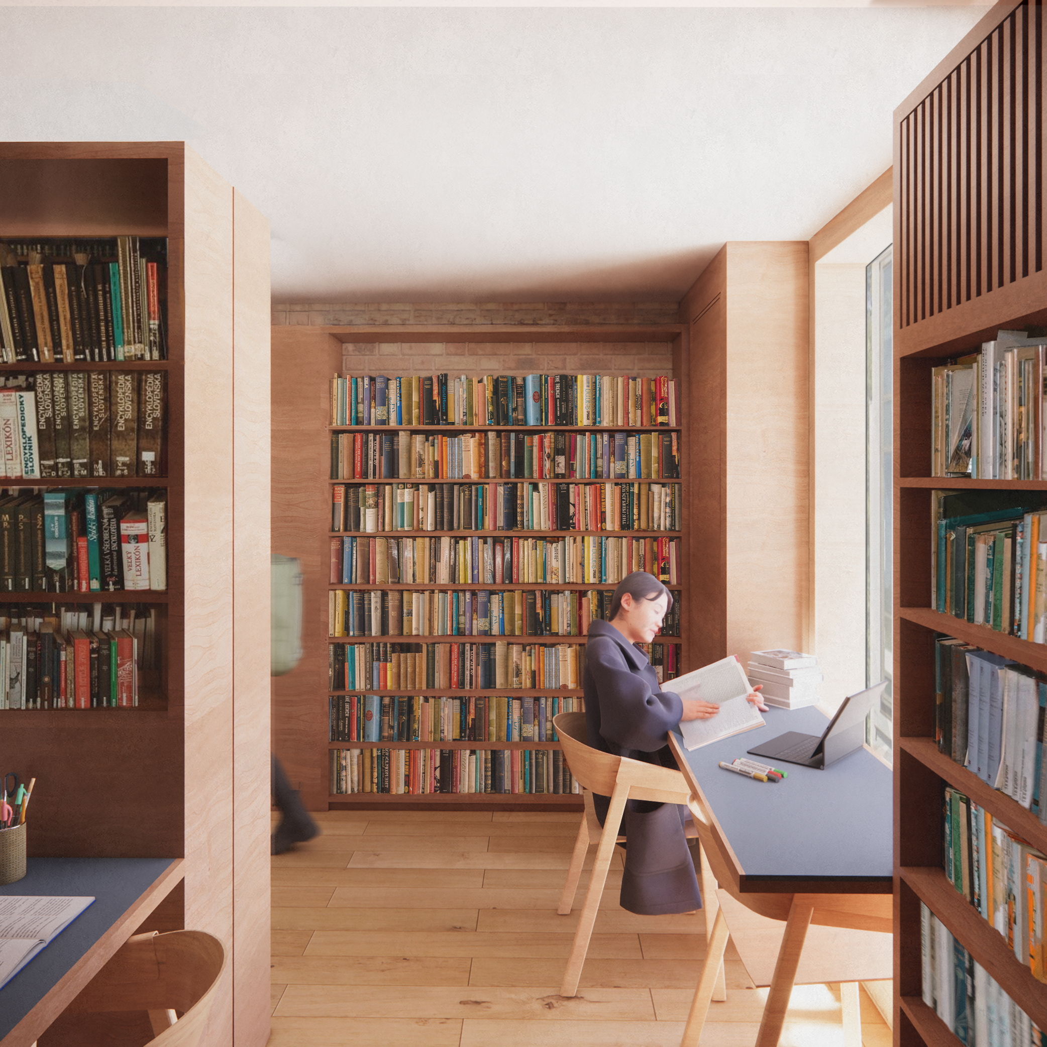 Individual study space with book case behind