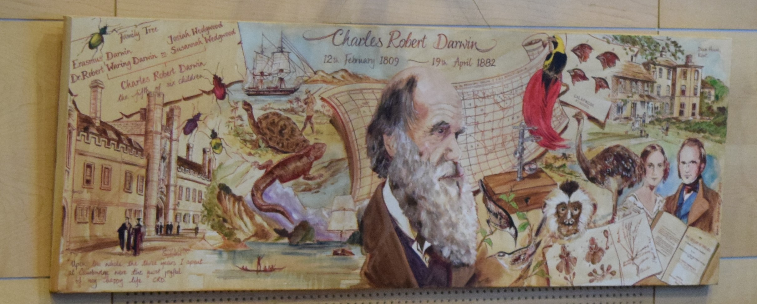 Darwin wall art