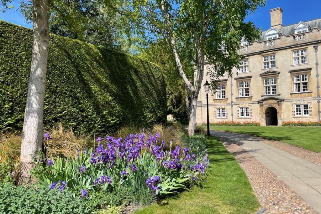 Second court path and flowers