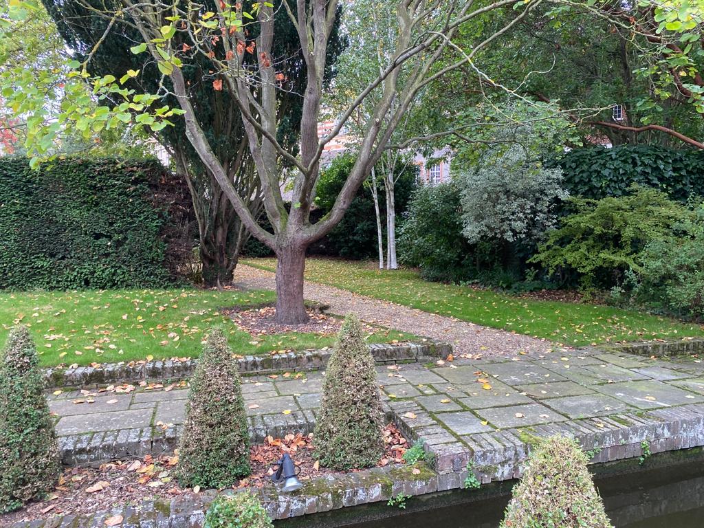 Some trees in front of a small, man-made waterway leading to a pond