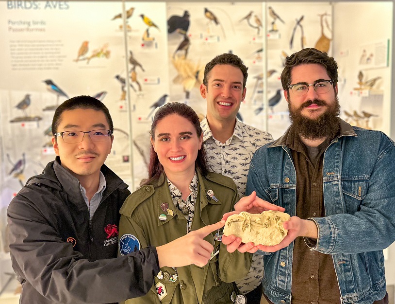 Four scientists with a fossil