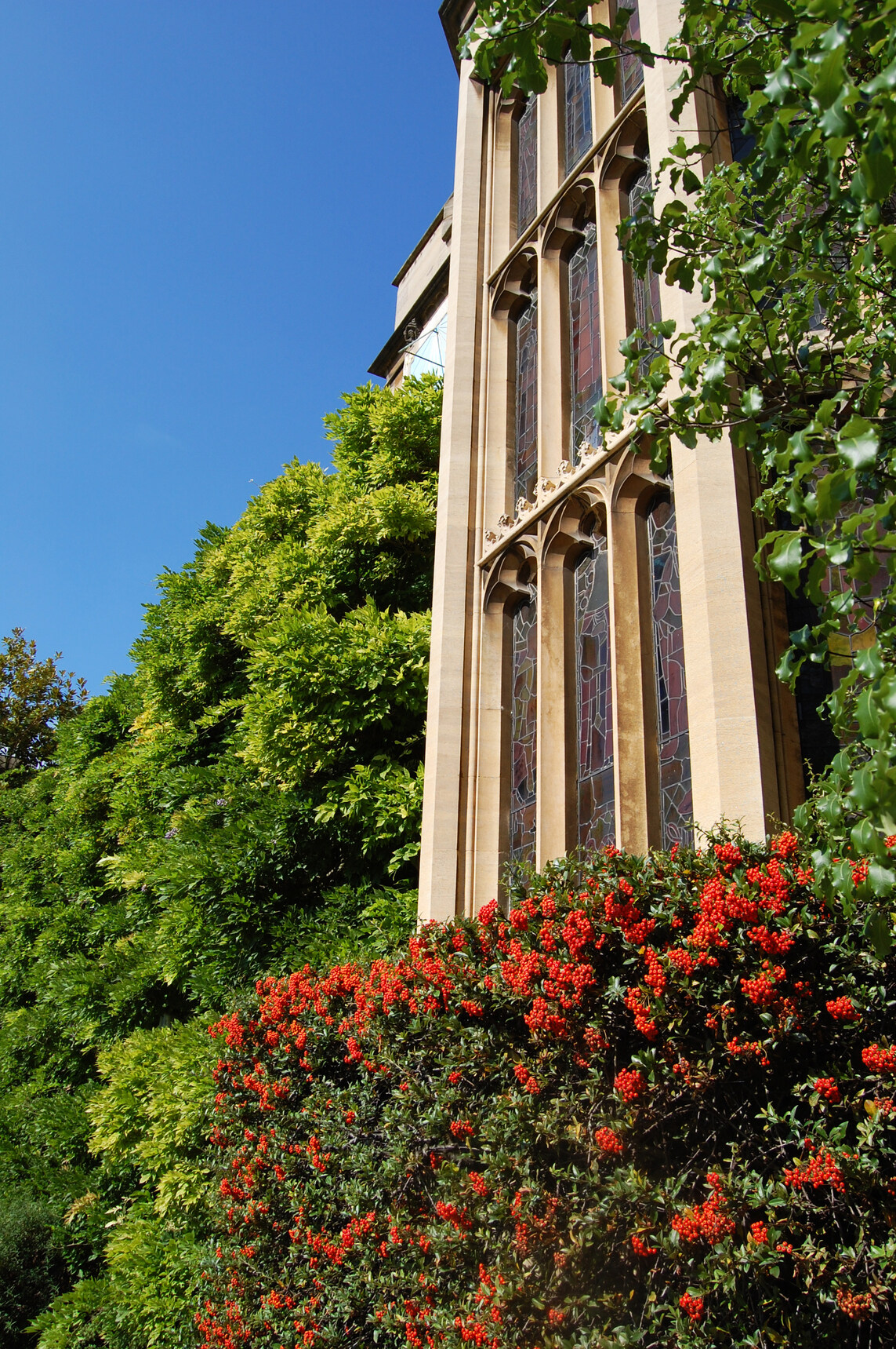 Hall window with shrubs outside