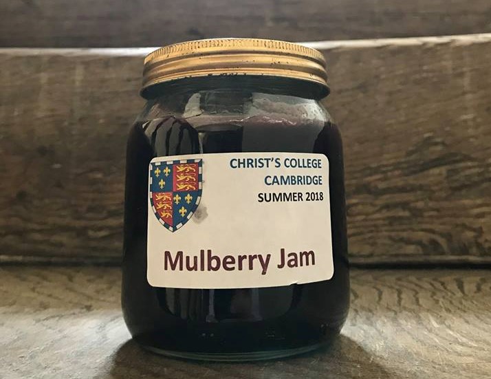 Mulberry Jam