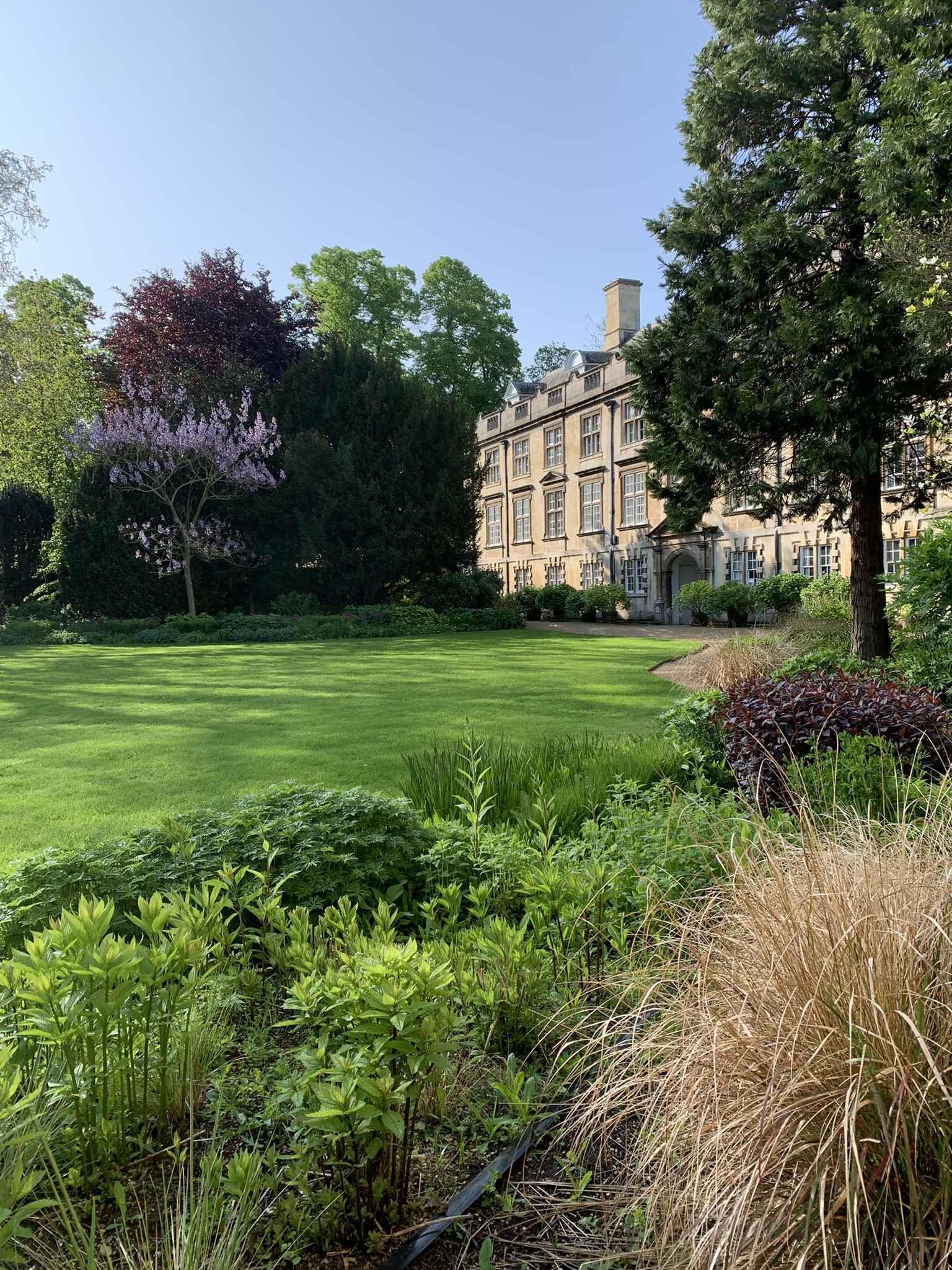 Garden, flowerbeds and building