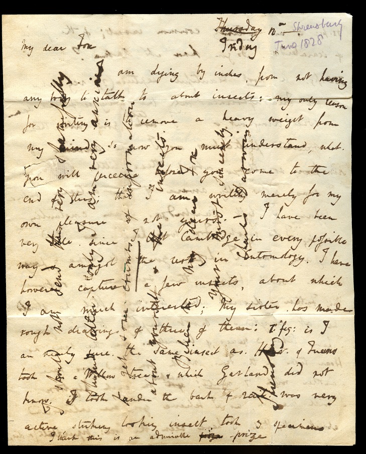 "Handwritten letter by Charles Darwin"