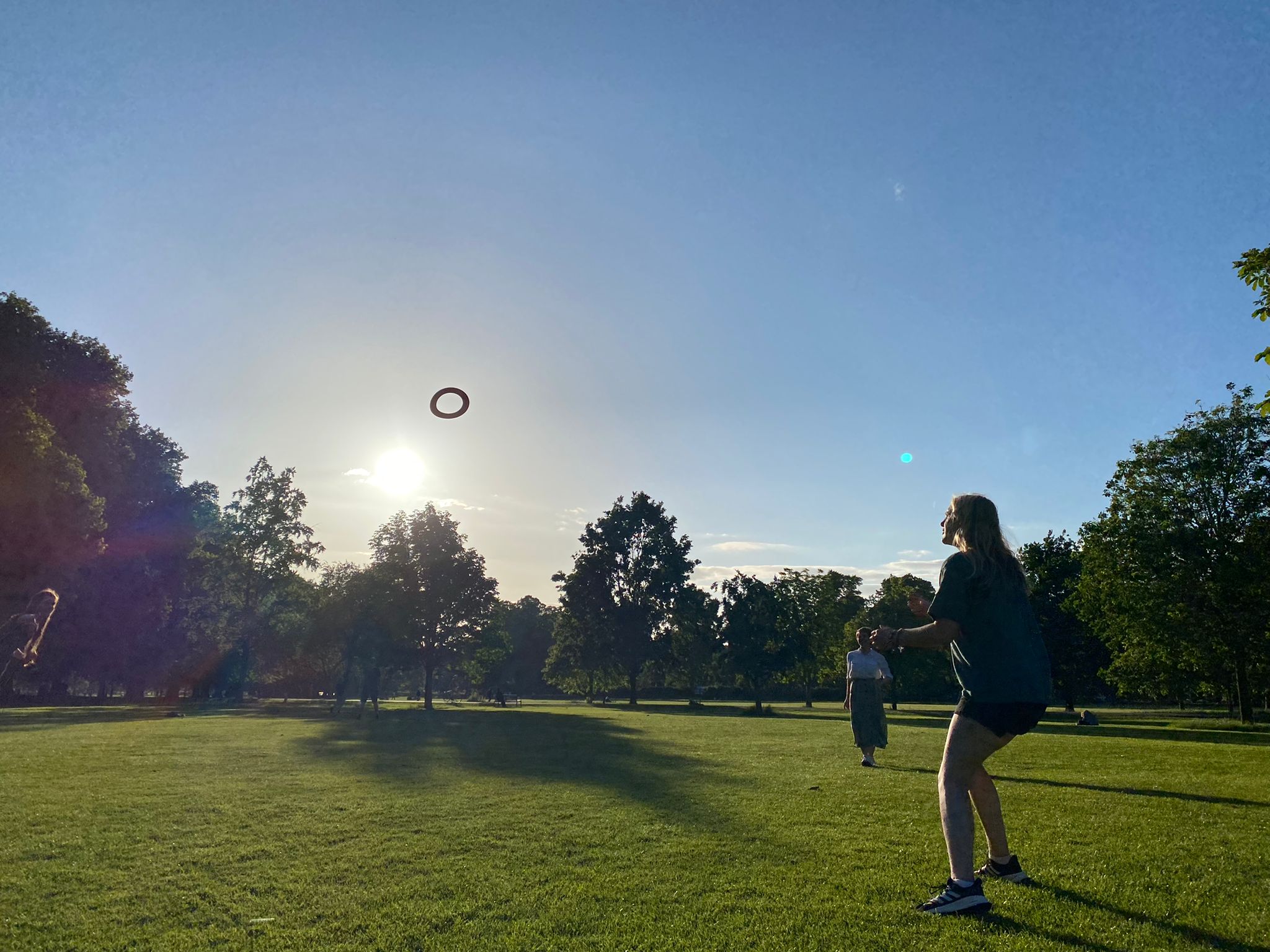 Romany, preparing to catch a frisbee