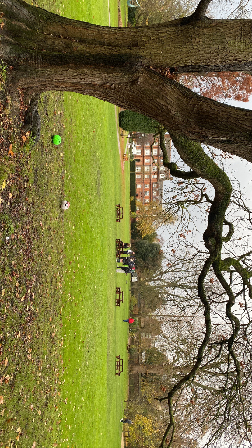 Field with sports equipment and old building in the background