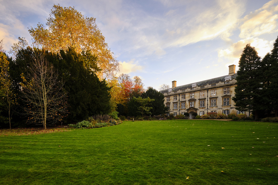 Lawn, looking towards the Fellows Building