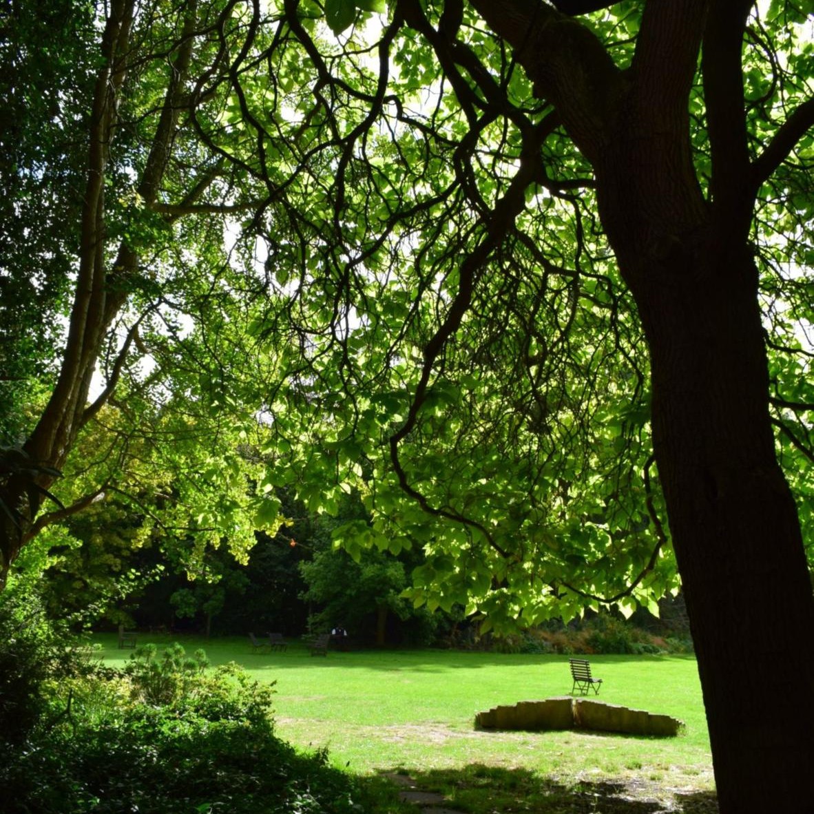 The Fellows' Garden