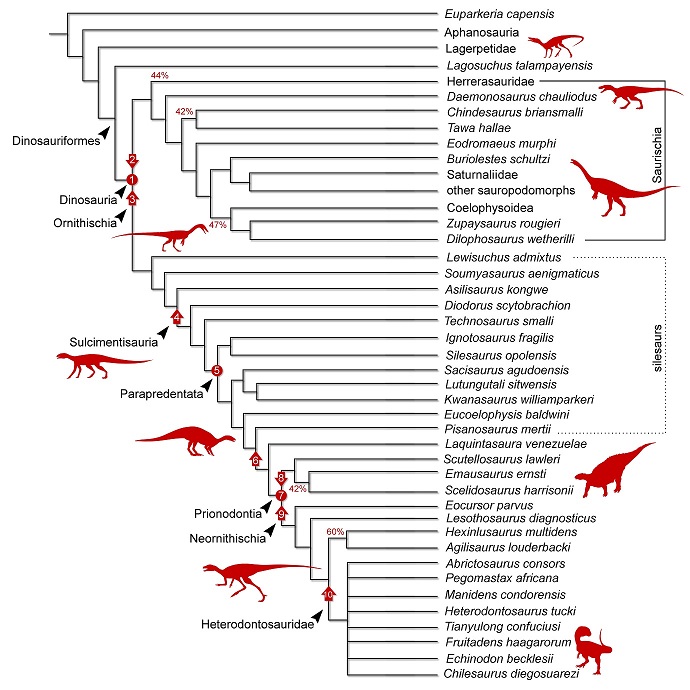 Dinosaur Family Tree Diagram