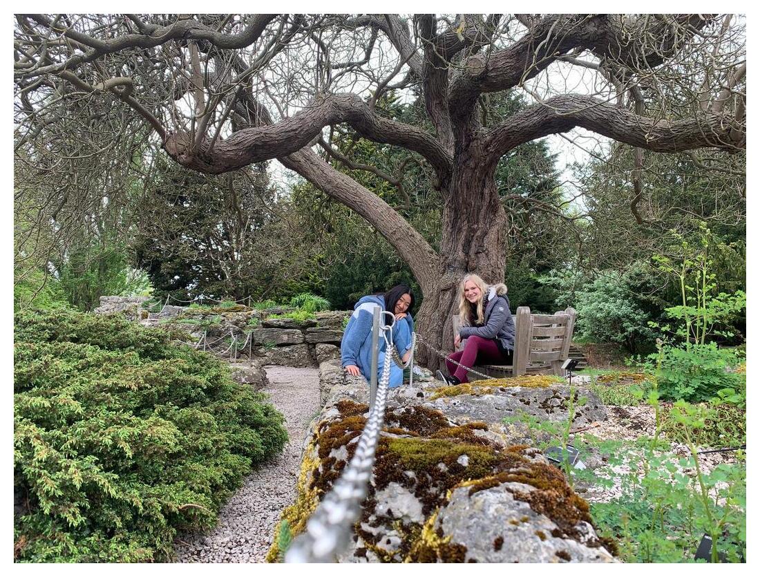 Two students under an old tree