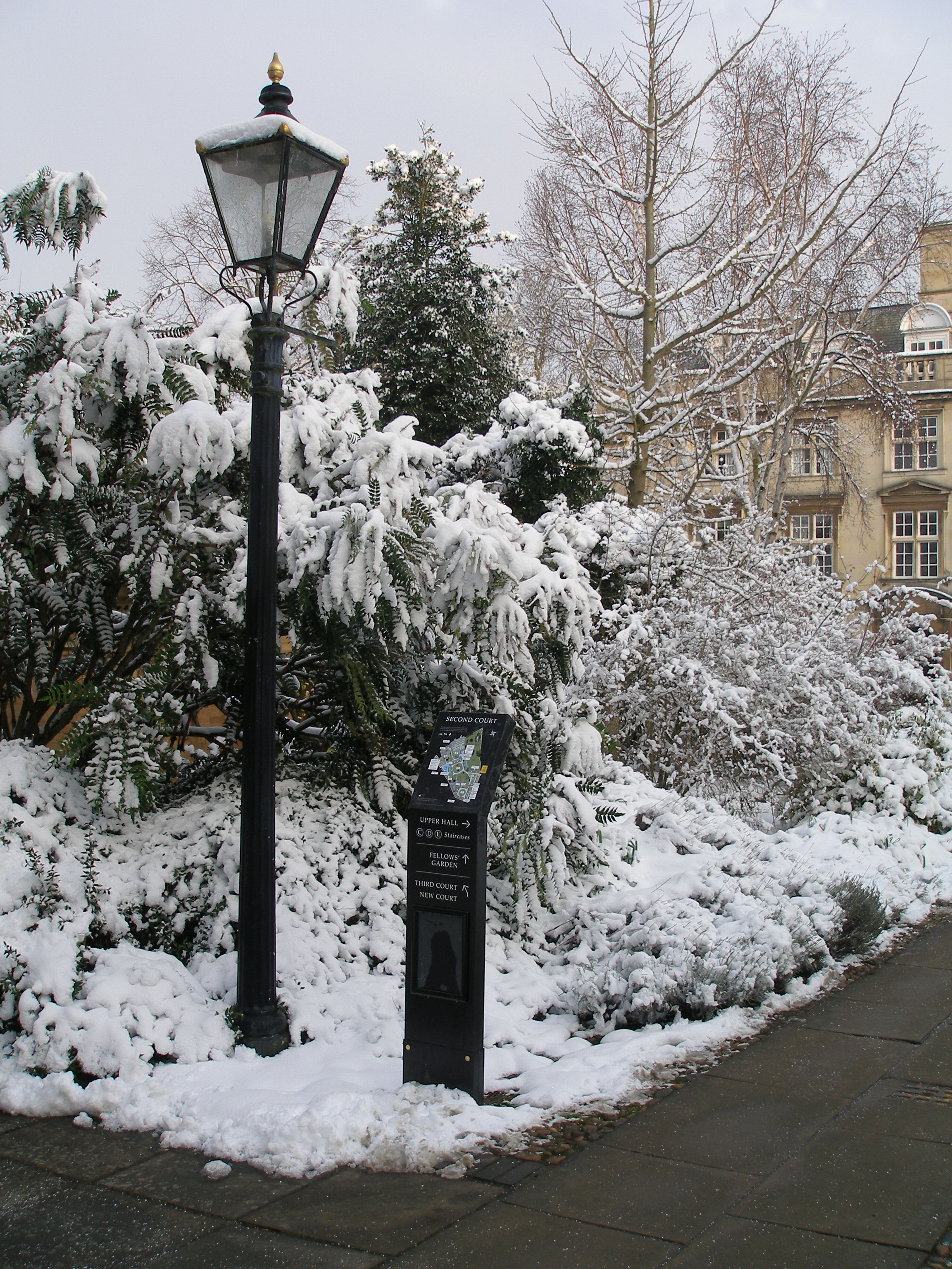 Snow in second court