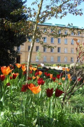 Tulips, Third Court