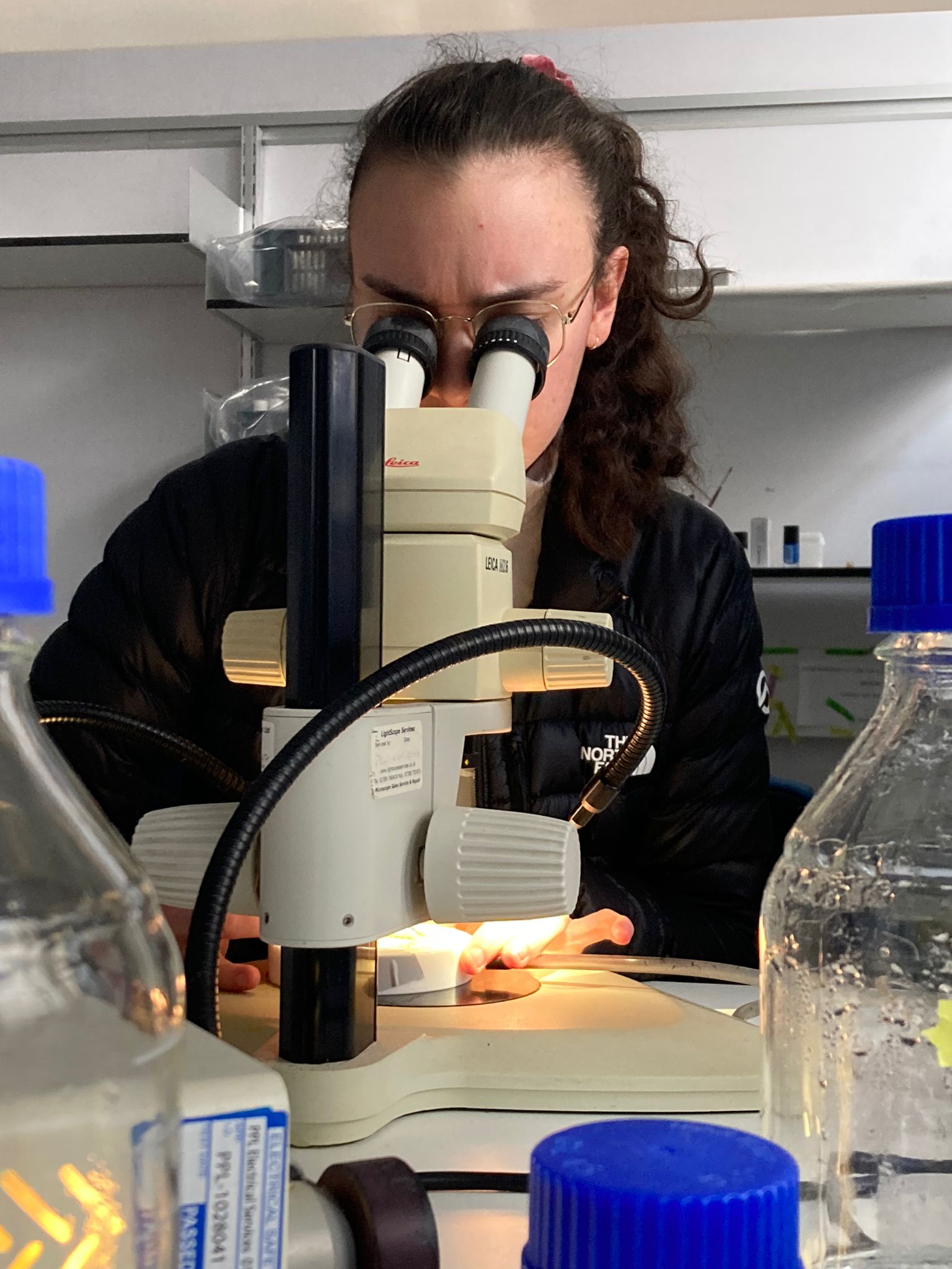 Alisa looking through a microscope