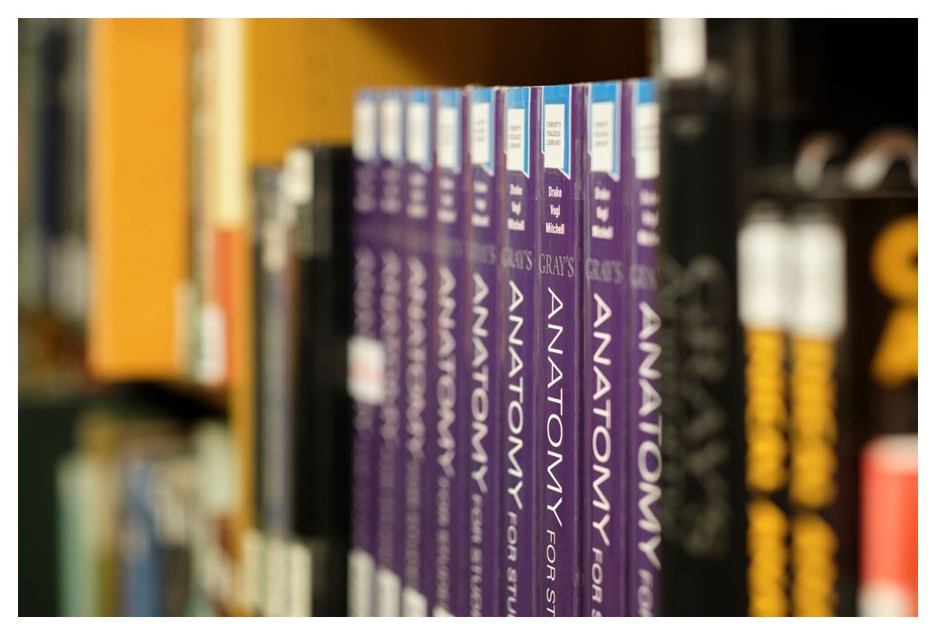 Anatomy textbooks