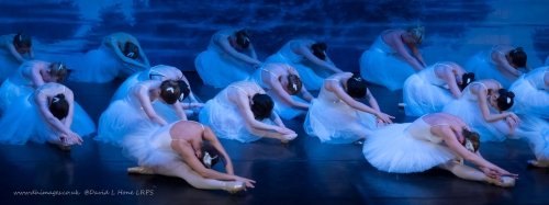 Dancers in "Swan Lake', the 2018 Lent term show of Cambridge University Ballet Club