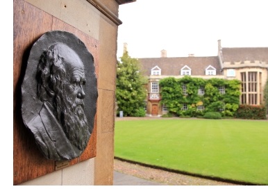 A bust of Charles Darwin at the entrance to First Court at Christ's College, Cambridge.