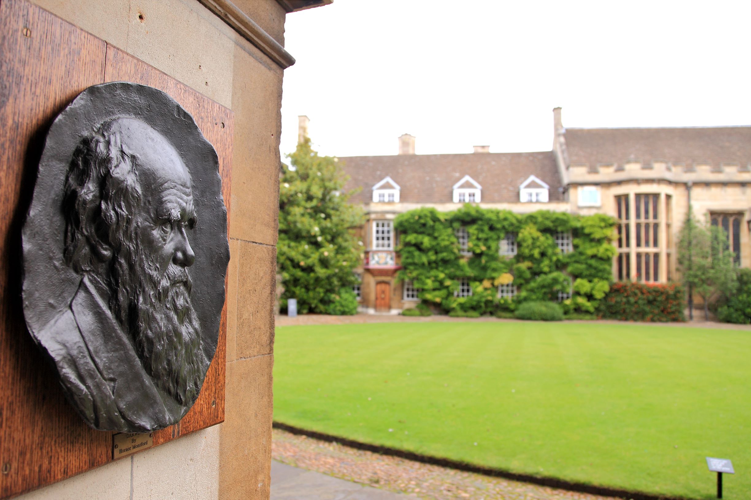 Charles Darwin at Christ's College, Cambridge