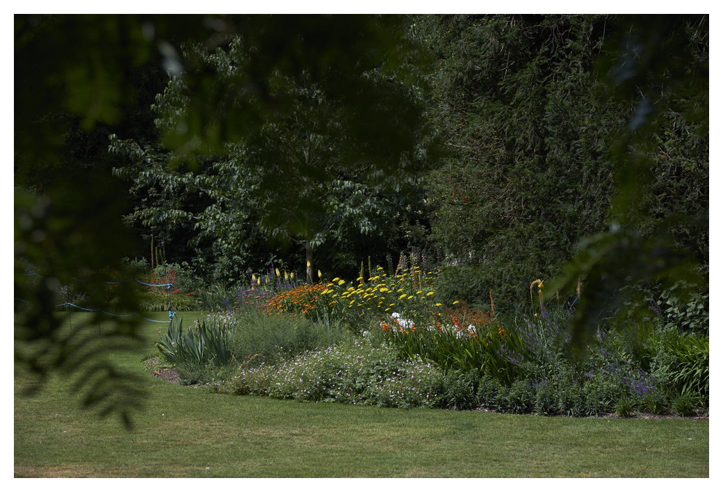 The Fellows Garden, Christ's College, Cambridge 