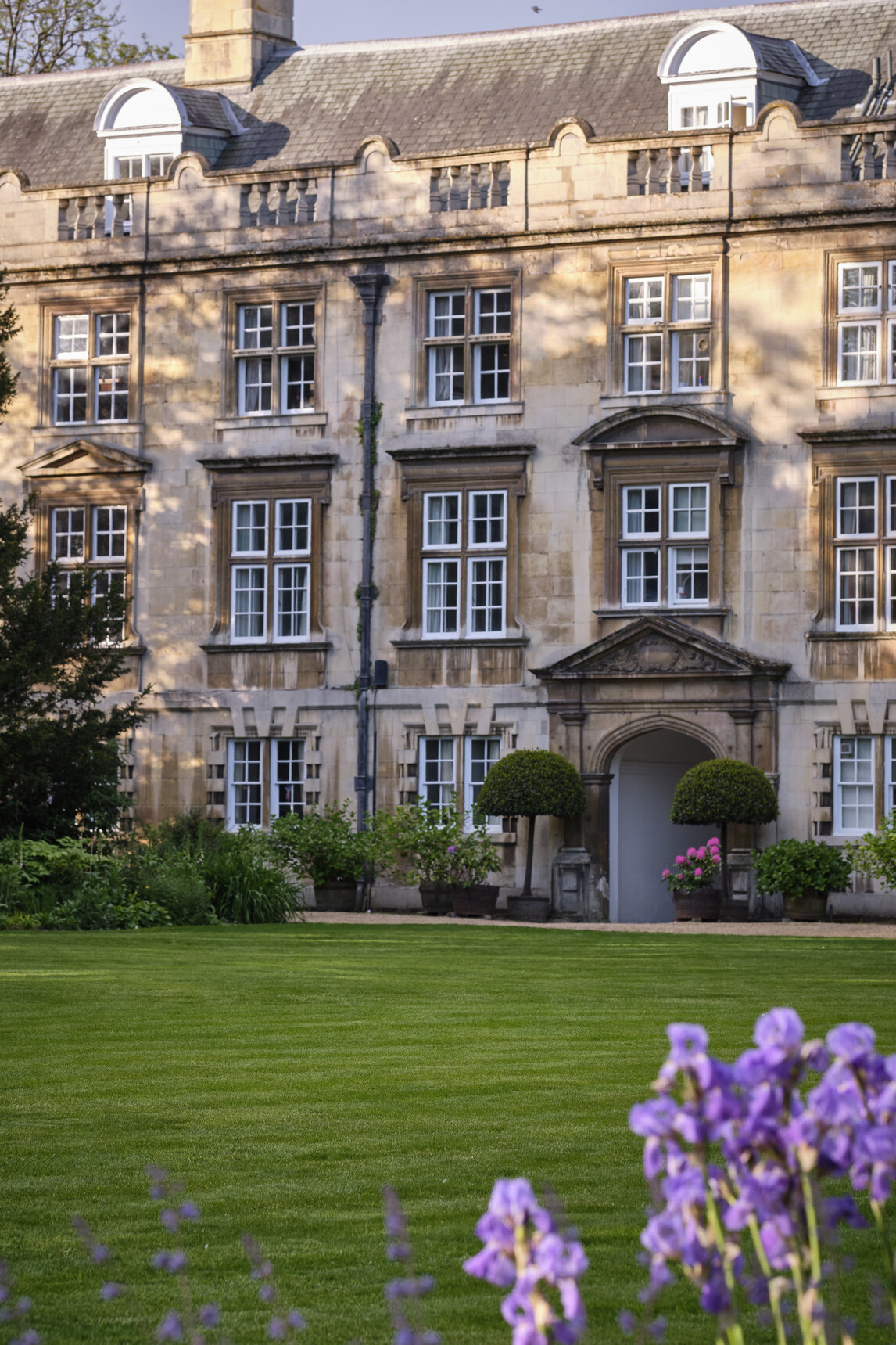 Fellows Building and lawn