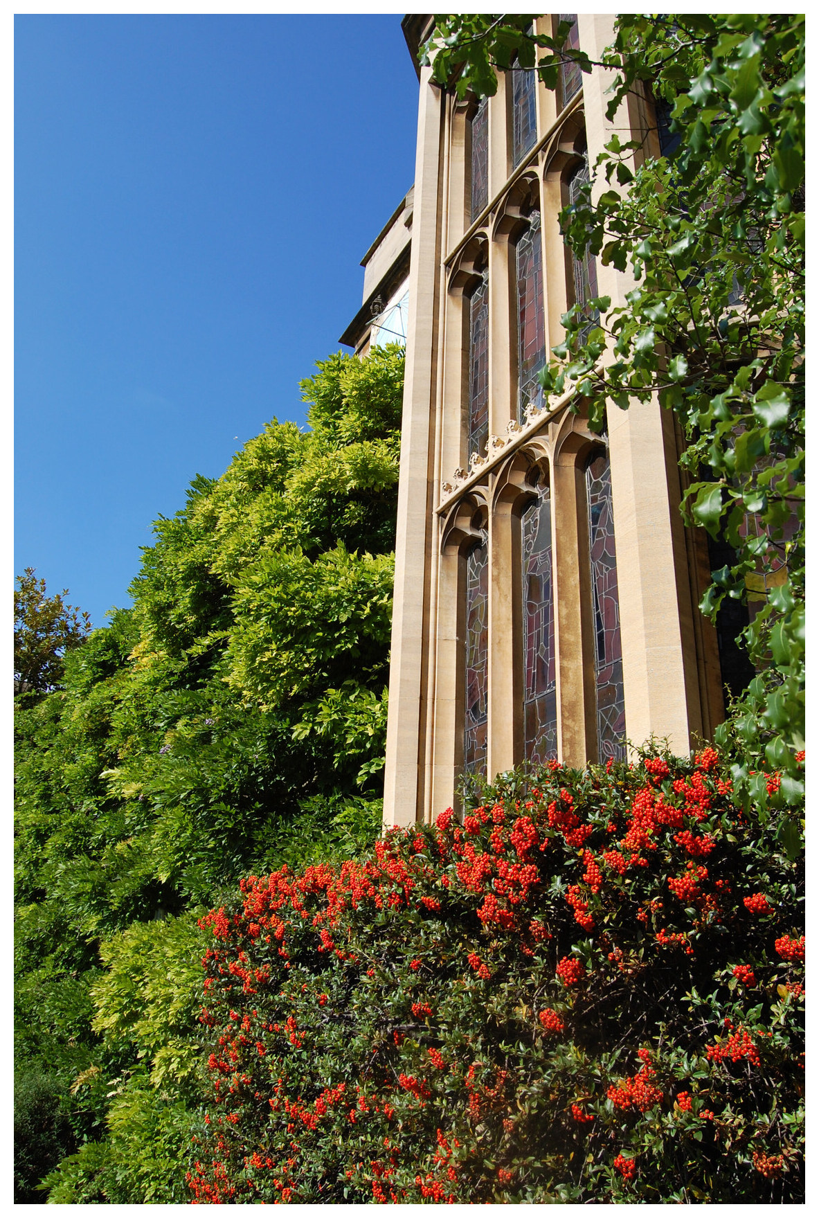 Large window with bushes around it