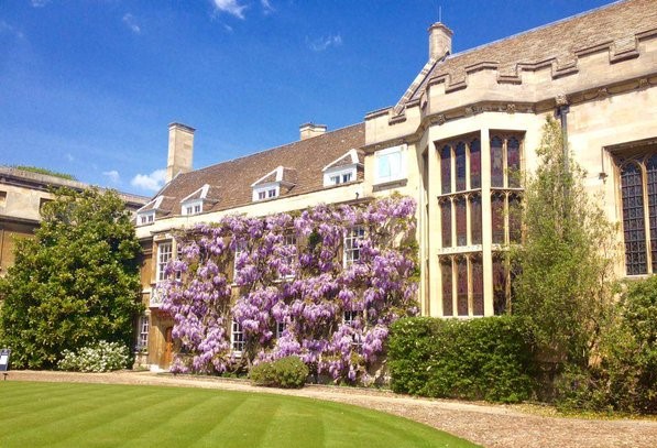 Wisteria on wall of Masters' Lodge