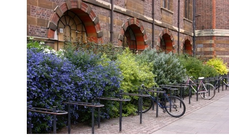 Bike racks outside the Department of Earth Sciences at Cambridge University.