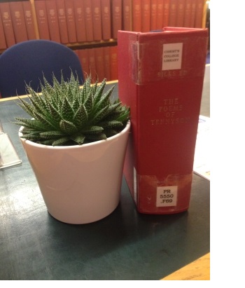 An aloe vera plant and a copy of Tennyson's complete works stood side by side on a table in the Library in Christ's College, Cambridge